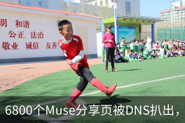 6800个Muse分享页被DNS扒出，Meta紧急暂停